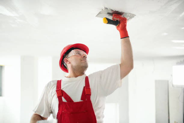 Best Drywall Removal and Disposal  in Barbourmeade, KY