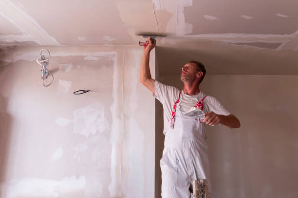 Best Drywall Sanding and Smoothing  in Barbourmeade, KY